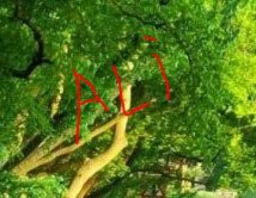 Picture of كرة قدم